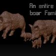 alt1.jpg A Boar Family of Four