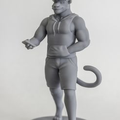 BFT_Front.jpg Fichier 3D gratuit Tiger Bro・Objet imprimable en 3D à télécharger