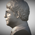 Zrzut-ekranu-2025-04-30-083136.png Elton John bust for 3D printing