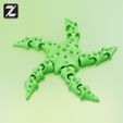 06.jpg Flexi Starfish