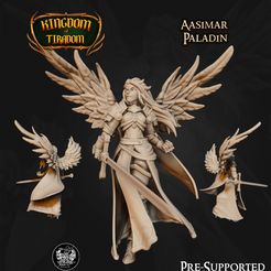 resize-05-1.jpg 3D file Paladin Aasimar from Kingdom Of Tiradom・3D printing idea to download