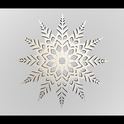IMG_9270.png Snowflake