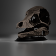 untitled.png Struthiomimus altus skull