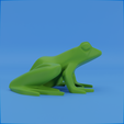 0010.png Frog stylized