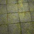 1.jpg Textura Mossy Pavement 8K PBR