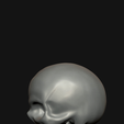 skull4.png Basic skull