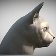 Zrzut-ekranu-2025-06-14-113400.png Abyssinian cat head for 3D printing