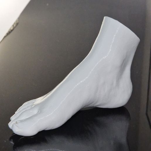 11.jpg Human foot