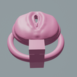 3.png Light Pussy Chastity Cage