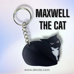 WhatsApp-Image-2023-09-22-at-3.23.22-PM.jpeg STL file Maxwell The Cat Keychain・3D print object to download