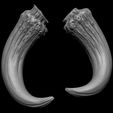 01.jpg 3D PRINTABLE MYTHOSAUR SKULL AND HORNS PACK - THE MANDALORIAN STAR WARS - HIGHLY DETAILED