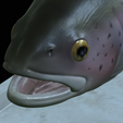 Rainbow-trout-statue-28.png fish rainbow trout / Oncorhynchus mykiss open mouth statue detailed texture for 3d printing