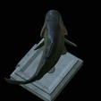 Bass-stocenej-19.png fish bass trophy statue detailed texture for 3d printing