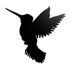 Näyttökuva-2022-01-08-153708.png Archivo STL Arte de pared del colibrí・Plan de impresora 3D para descargar, Printerboy