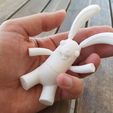 20180317_144752_S.jpg Free 3D file PhotoBun Puppet・3D printable model to download