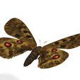 UNM.jpg DOWNLOAD BUTTERFLY 3D MODEL - ANIMATED INSECT - MAYA - BLENDER 3 - 3DS MAX - UNITY - UNREAL - CINEMA 4D -  3D PRINTING - OBJ - FBX - BLENDER - 3DS MAX - MAYA - C4D - UNITY - UNREAL -  3D PROJECT CREATE AND GAME READY BUTTERFLY INSECT POKÉMON