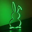 IMG_2063.jpeg Easter Banny silhouette LED LIGHT