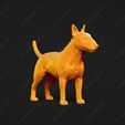 2871-Bull_Terrier_Miniature_Pose_02.jpg Bull Terrier Miniature Dog 3D Print Model Pose 02