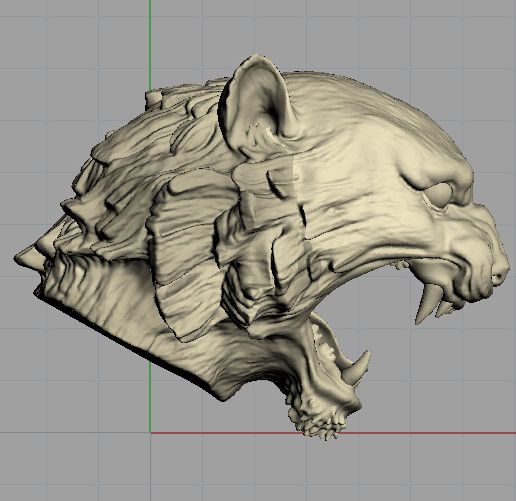 right-2.jpg cabeza de tigre 02