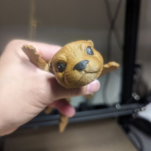 PXL_20221002_003012554.jpg Lontra bebé Flexi