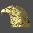 11.jpg Eagle