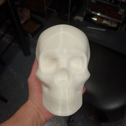 PXL_20220323_030222900.jpg Archivo STL Cráneo al revés・Modelo de impresión 3D para descargar, martymarzx6r