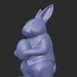 WhatsApp-Image-2026-01-17-at-23.25.08.jpeg Easter Guardian Rabbit