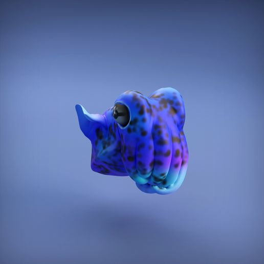 Bobtail_squid.jpg -Datei Bobtail-Tintenfisch herunterladen • 3D-druckbares Design, mayapantic