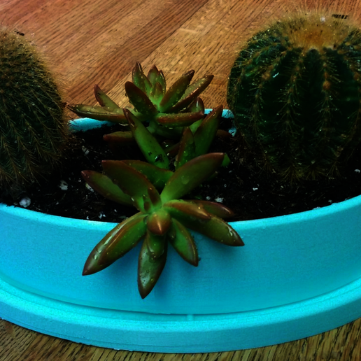 Planter3 & Tray3 - 3D model önizlemesi