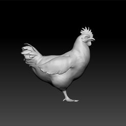 hen1.jpg Hen - chicken