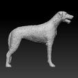irish-wolfhound-3d-model-bd4eca8e10.jpg Irish Wolfhound dog