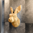 rabbit-wall-2-view-5.png rabbit head wall mount STL