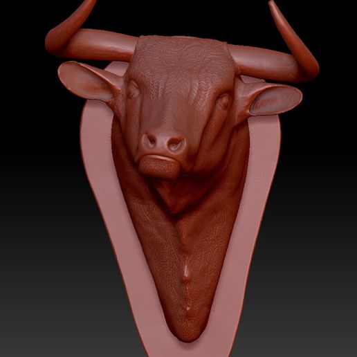 toro2.jpg Cabeça de touro