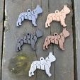 9F3D84CD-E8F3-422F-A425-DB4CBBAA6A99.jpeg Flexi French Bulldog Keyring Fidget Display Frenchie Silhouette Articulated