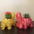 IMG_0859.jpg Fichier STL Pot de fleurs Dicky Turtle 🌵・Objet pour imprimante 3D à télécharger