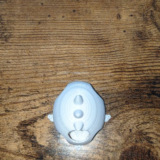 PXL_20220119_170540983.jpg ERC Erik's RC Tiny whoop canopy