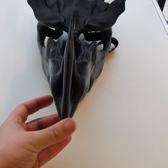 20211025_170344.jpg Dragon Head Mask