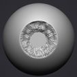 8.jpg Human eye
