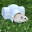 QHH2-v2.jpg Skywalker Hamster House