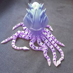 KRAKEN
