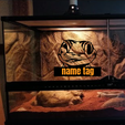 454946927_855555383388762_2400614179012995845_n.png Lizard Peeking, Lizard name sign, garden-themed door, or wall hanger