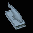 White-grouper-statue-47.png fish white grouper / Epinephelus aeneus statue detailed texture for 3d printing