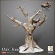 720X720-release-oak-3.jpg Oak Tree Winter/Summer versions - The Hunt
