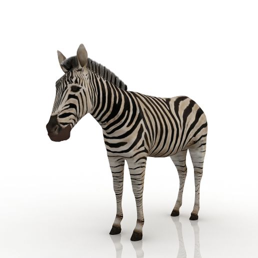 Zebra ZXP Series 3 card printer ribbons, cleaning kits and