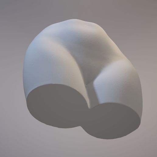 View 3D20170826-004379.jpg Female penholder