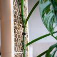 DSC01874-2.jpeg CLIMBIT HoneyComb — модульная система для выращивания мха на опорах с автополиванием (без опор, с возможностью штабелирования)
