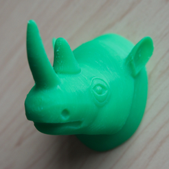 Capture_d_e_cran_2016-08-29_a__14.07.07.png rhino head