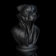 ShopA.jpg Rottweiler dog with cape and collar on a pedestal