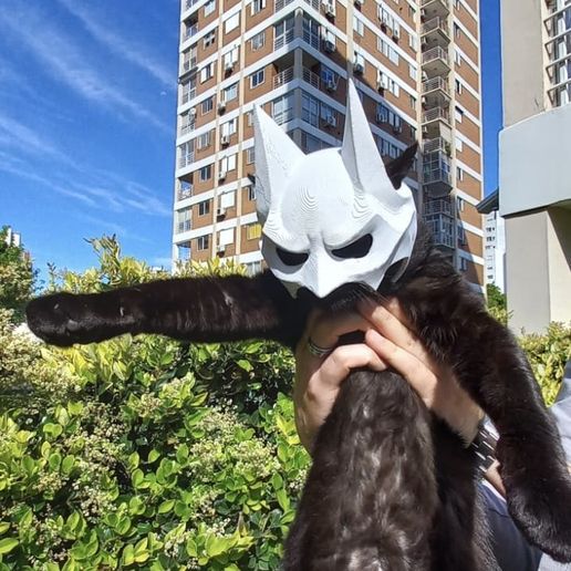 BAT CAT (FREE SIZE TEST) - Helmet