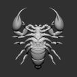 03.jpg Scorpion